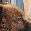 Bruce_loose - @bruce_loose - TikTok