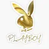 @bruceloud44 - TikTok