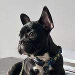 Bruce Wayne Low - @brucewaynelow - Instagram