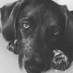 bruce lowe - @office.bob - Instagram