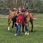 BRUCE lowell - @brucelowell7 - Instagram