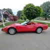 Bruce low - @brucelowo - TikTok