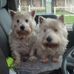 Bruce Lowenthal - Facebook