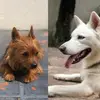 ᗷᖇᑌᑕᗴ & ᒪᑌᑕKY - @bruce.lucky - TikTok