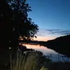 Popo - @bruceludwig65 - TikTok