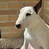 Bruce - @brucelujan08 - TikTok