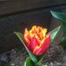 Bruce Lumsden - Facebook