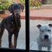 Bruce Lumsden - Facebook