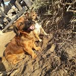 Billy_Nina-Bruce-Luna-Titika - @ninabillybruce2018201920 - Instagram