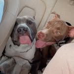 Bruce e Luna - @bru.e.lu - Instagram