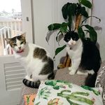 Bruce e Luna - @bruc.eluna - Instagram