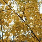 Bruce Lundberg - @brucelundberg - Instagram