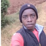 Bruce Ray Lundgren - @lundgren9856 - Instagram