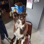 Bruce Lundy - @brucelundy20 - Instagram