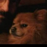 Bruce Lundy - @bruce.lundy.7 - Instagram