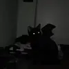 brucelyloserbackup - @brucelybackuploser - TikTok