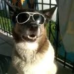 Bruce Mack - @brucejm54 - Instagram