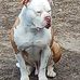 Bruce Mack - Facebook