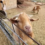 Bruce Mackey - @brucemackey - Instagram