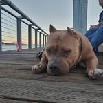 Bruce Mackinnon - @bruceanmax - Instagram