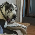 Bruce MacKinnon - @mackinnon6304 - Instagram