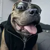 Bruce Mackinnon - @bruce.mackinnon1 - TikTok