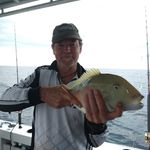 Bruce E MacLennan - @bruce.e.maclennan - Instagram