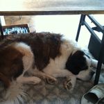 Bruce MacPherson - @brucewmacpherson - Instagram