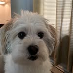 Bruce MacPherson - @bruce_macpherson4 - Instagram
