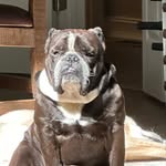 Bruce Mahaffey - @brucetheduce69 - Instagram