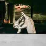 Bruce William Maki - @juniperhillgarret - Instagram