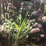 @bruce.malpass - Instagram