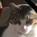 Bruce Eugene Malpass - Facebook
