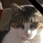 Bruce Eugene Malpass - @bruce_malpass - Instagram