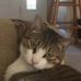 Bruce Malpass - Facebook