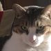 Bruce Malpass - Facebook