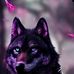 Bruce Markey - Facebook