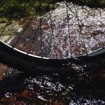 Bruce Markey - @brucemarkey - Instagram
