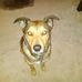 Bruce Marlow - Facebook