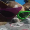 Bruce xd - @brucemarquez597 - TikTok