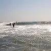 Bruce Marsh - @bruce.marsh5 - TikTok