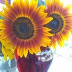 Bruce Marvel - @bruce41167 - Instagram