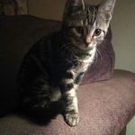 Bruce Marvin - @bruce.marvin - Instagram