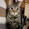 brucemarvin777 - @brucemarvin777 - TikTok