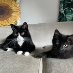 Bruce&Marvin - @bruce_and_marvin - Instagram