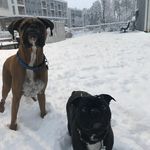 Marvin & Bruce - @marvinandbruce - Instagram