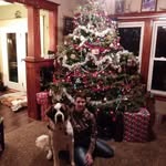 Steve Bain - @brucemaster1973 - Instagram
