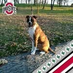 Bruce Matheny - @brucealmighty6972 - Instagram