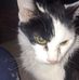 Bruce Matlock - Facebook
