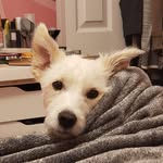 @officialbrucematson - Instagram